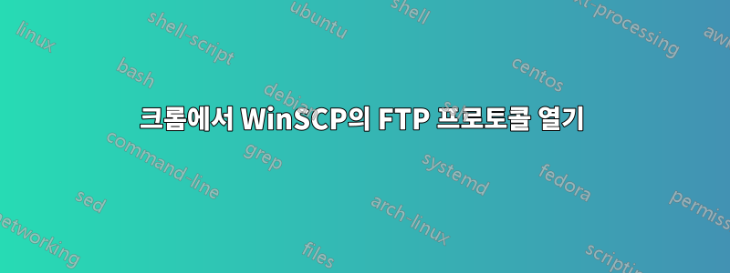 크롬에서 WinSCP의 FTP 프로토콜 열기