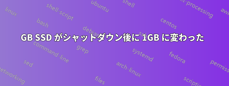 128GB SSD がシャットダウン後に 1GB に変わった