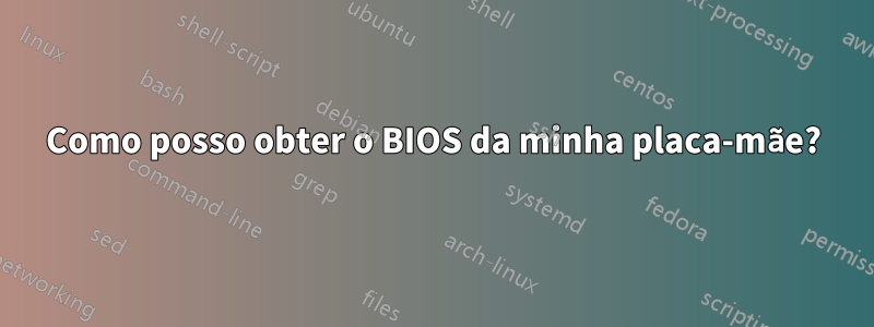 Como posso obter o BIOS da minha placa-mãe?