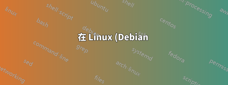 在 Linux (Debian) 中可靠地識別磁碟(不是分割區)
