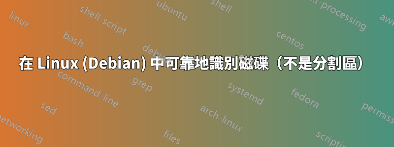 在 Linux (Debian) 中可靠地識別磁碟（不是分割區）