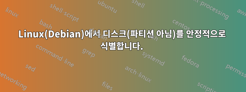 Linux(Debian)에서 디스크(파티션 아님)를 안정적으로 식별합니다.