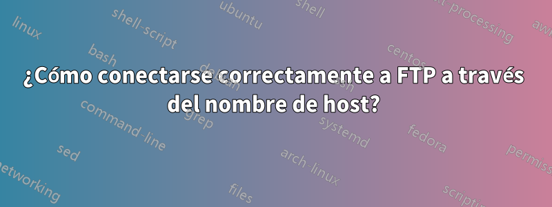 ¿Cómo conectarse correctamente a FTP a través del nombre de host?