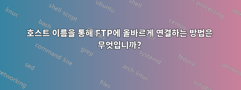 호스트 이름을 통해 FTP에 올바르게 연결하는 방법은 무엇입니까?