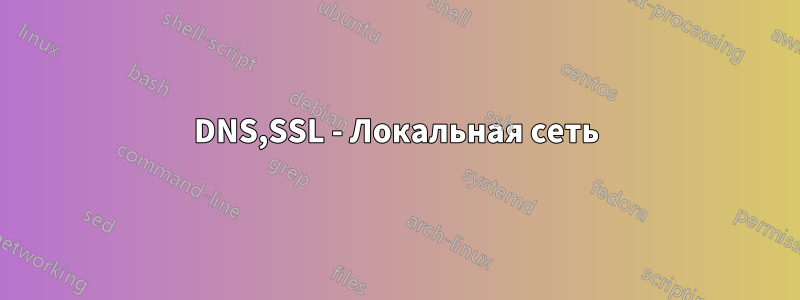 DNS,SSL - Локальная сеть