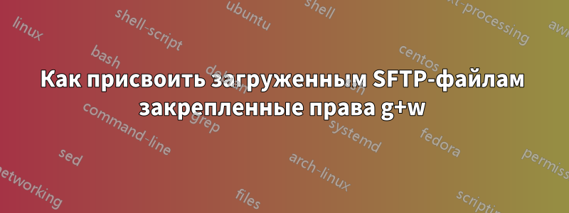 Как присвоить загруженным SFTP-файлам закрепленные права g+w