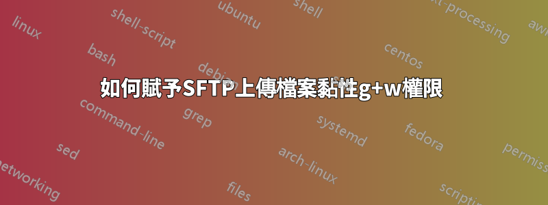 如何賦予SFTP上傳檔案黏性g+w權限