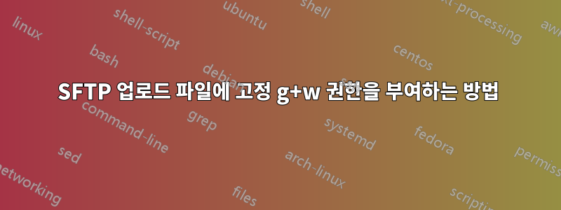 SFTP 업로드 파일에 고정 g+w 권한을 부여하는 방법