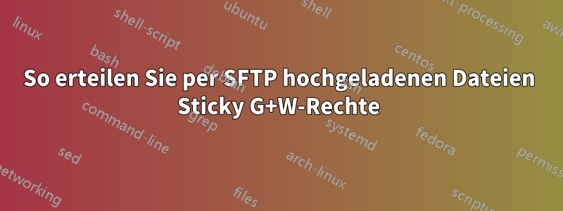 So erteilen Sie per SFTP hochgeladenen Dateien Sticky G+W-Rechte