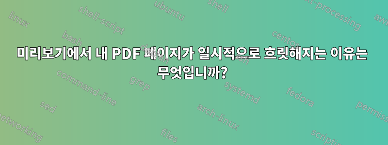 미리보기에서 내 PDF 페이지가 일시적으로 흐릿해지는 이유는 무엇입니까?