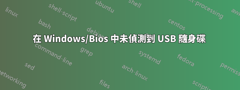 在 Windows/Bios 中未偵測到 USB 隨身碟