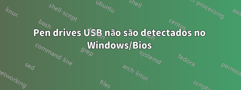 Pen drives USB não são detectados no Windows/Bios