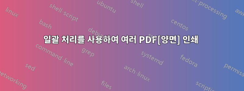 일괄 처리를 사용하여 여러 PDF[양면] 인쇄