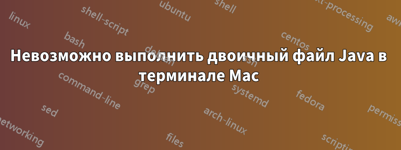 Невозможно выполнить двоичный файл Java в терминале Mac