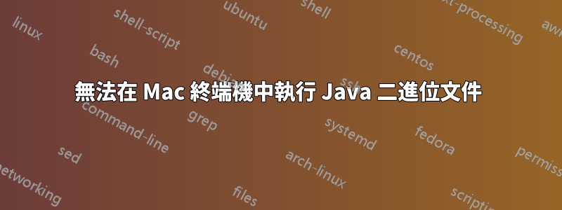 無法在 Mac 終端機中執行 Java 二進位文件