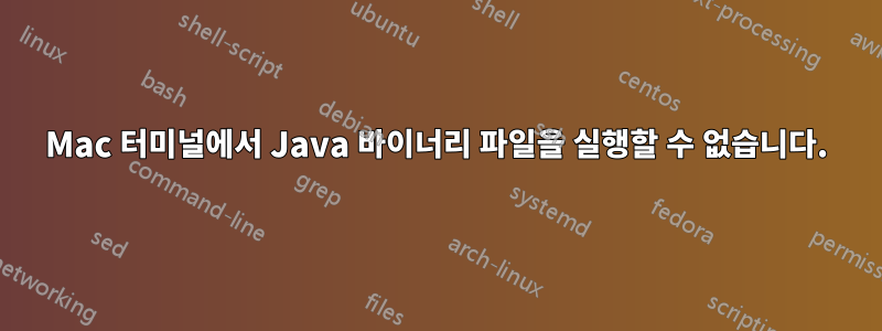 Mac 터미널에서 Java 바이너리 파일을 실행할 수 없습니다.