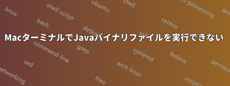 MacターミナルでJavaバイナリファイルを実行できない