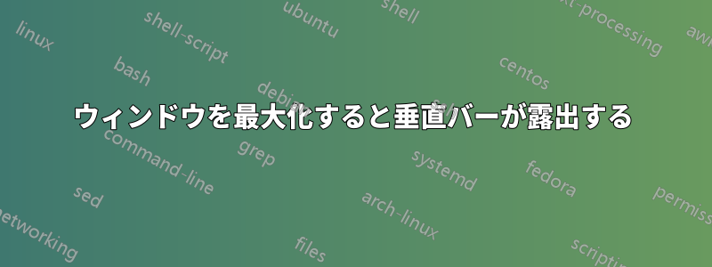 ウィンドウを最大化すると垂直バーが露出する