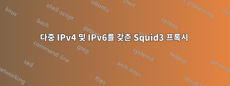 다중 IPv4 및 IPv6를 갖춘 Squid3 프록시