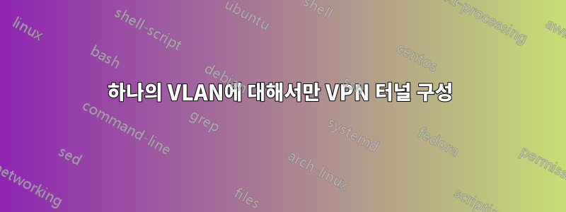 하나의 VLAN에 대해서만 VPN 터널 구성