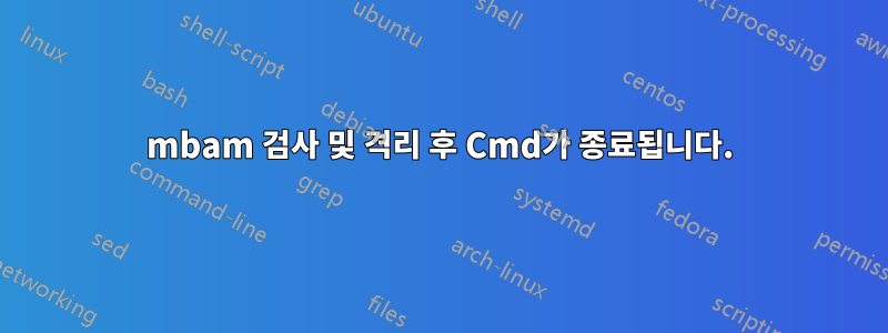 mbam 검사 및 격리 후 Cmd가 종료됩니다.