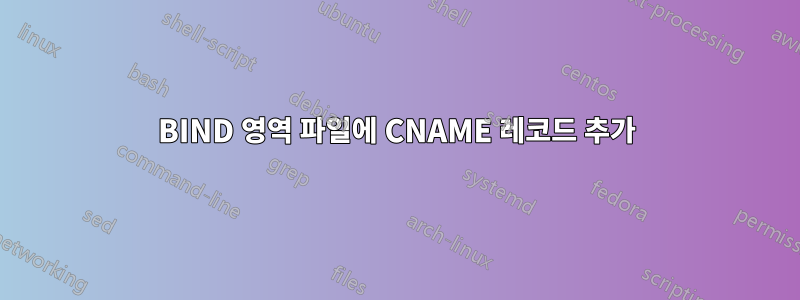 BIND 영역 파일에 CNAME 레코드 추가