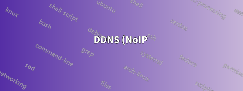 DDNS (NoIP) VNC no se puede conectar