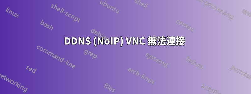 DDNS (NoIP) VNC 無法連接