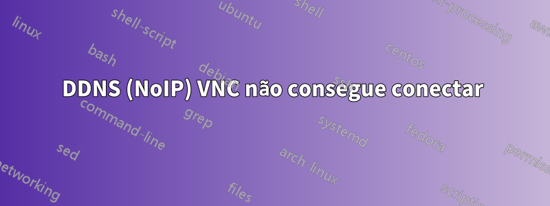 DDNS (NoIP) VNC não consegue conectar