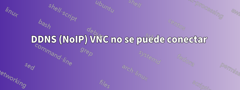 DDNS (NoIP) VNC no se puede conectar