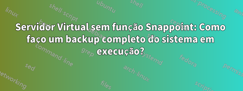 Servidor Virtual sem função Snappoint: Como faço um backup completo do sistema em execução?