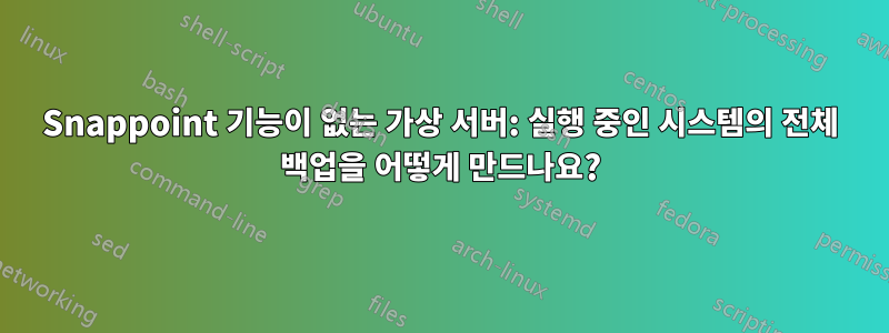 Snappoint 기능이 없는 가상 서버: 실행 중인 시스템의 전체 백업을 어떻게 만드나요?