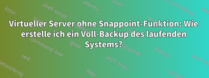 Virtueller Server ohne Snappoint-Funktion: Wie erstelle ich ein Voll-Backup des laufenden Systems?