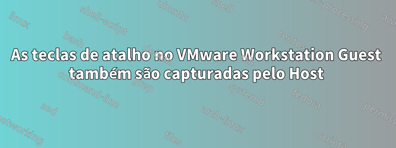 As teclas de atalho no VMware Workstation Guest também são capturadas pelo Host