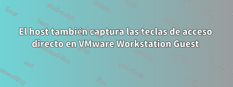 El host también captura las teclas de acceso directo en VMware Workstation Guest