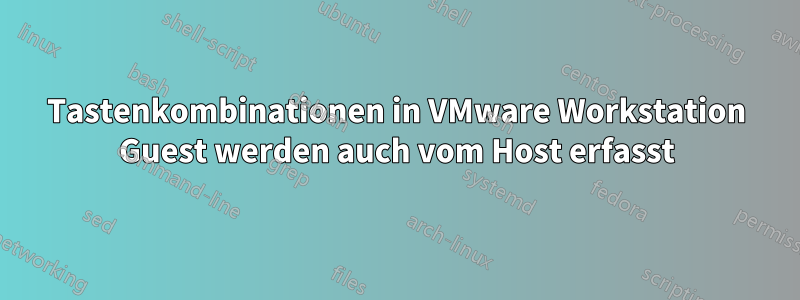 Tastenkombinationen in VMware Workstation Guest werden auch vom Host erfasst