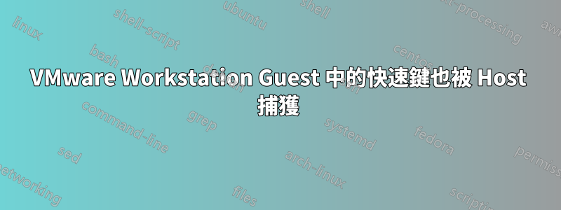 VMware Workstation Guest 中的快速鍵也被 Host 捕獲