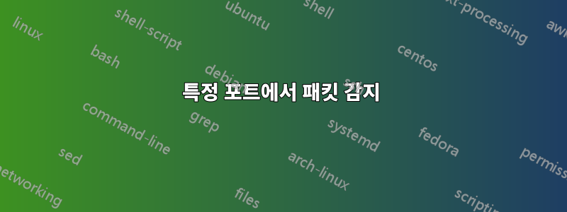 특정 포트에서 패킷 감지