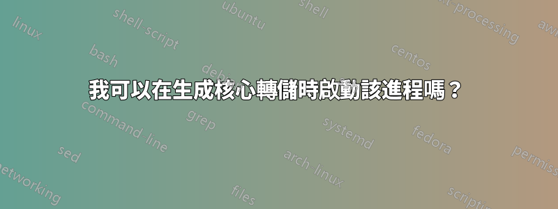 我可以在生成核心轉儲時啟動該進程嗎？