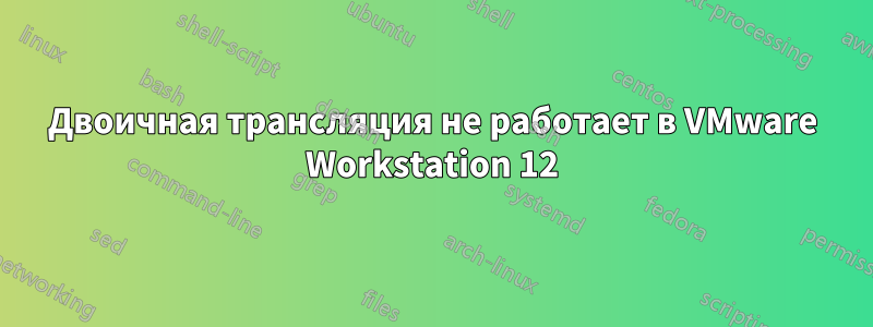 Двоичная трансляция не работает в VMware Workstation 12