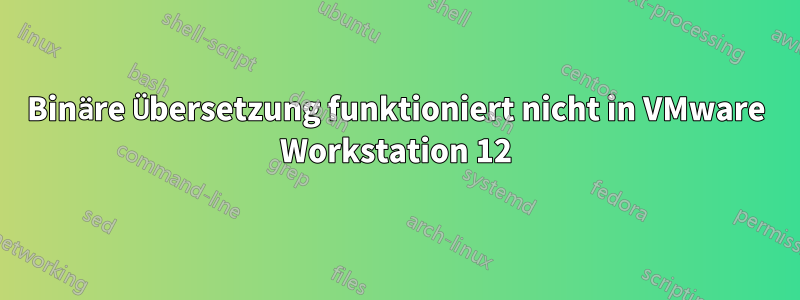 Binäre Übersetzung funktioniert nicht in VMware Workstation 12