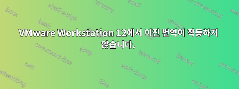 VMware Workstation 12에서 이진 번역이 작동하지 않습니다.