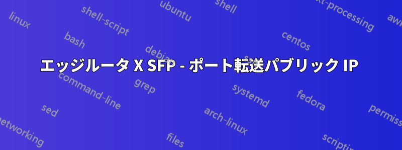 エッジルータ X SFP - ポート転送パブリック IP