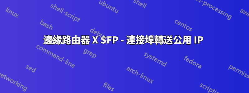 邊緣路由器 X SFP - 連接埠轉送公用 IP