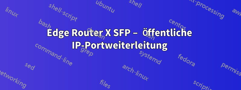 Edge Router X SFP – Öffentliche IP-Portweiterleitung