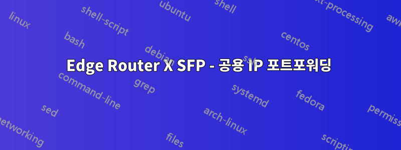 Edge Router X SFP - 공용 IP 포트포워딩