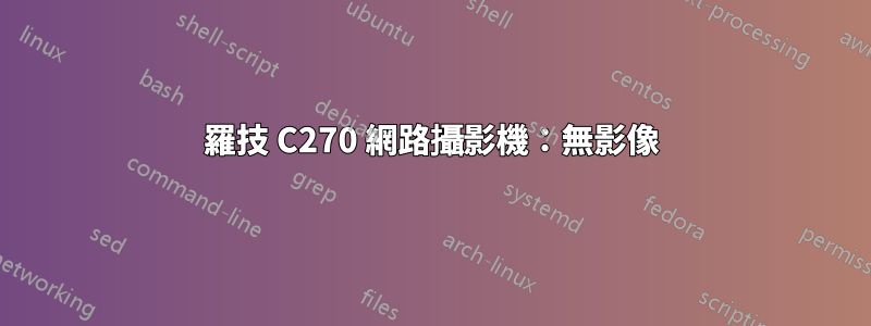 羅技 C270 網路攝影機：無影像