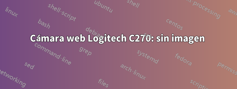 Cámara web Logitech C270: sin imagen