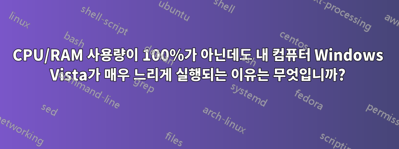 CPU/RAM 사용량이 100%가 아닌데도 내 컴퓨터 Windows Vista가 매우 느리게 실행되는 이유는 무엇입니까?