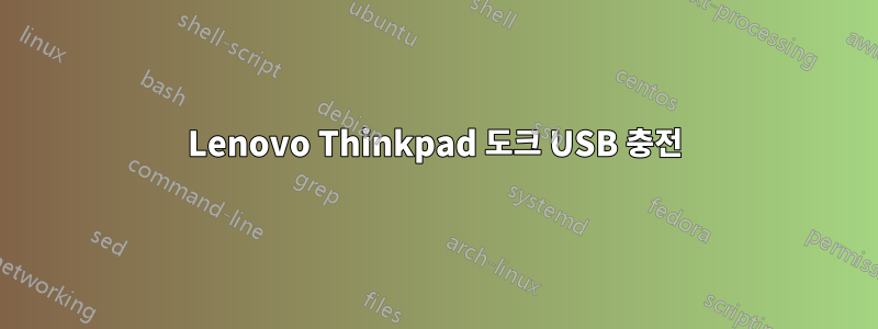 Lenovo Thinkpad 도크 USB 충전